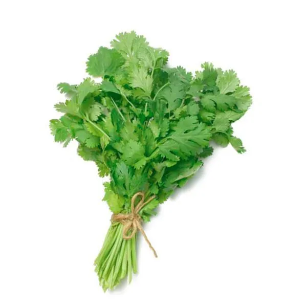 Fresh Coriander Bunch each